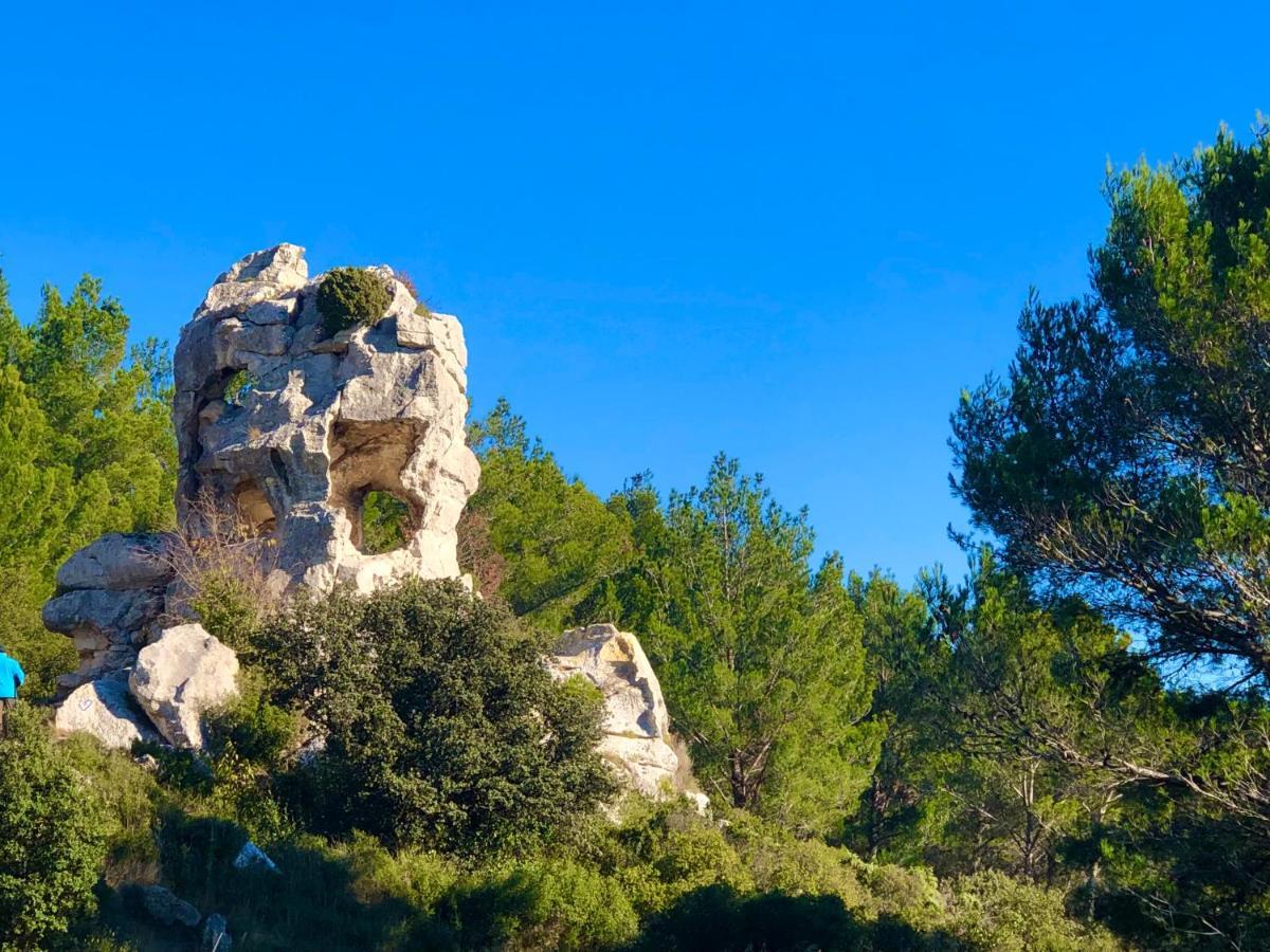 Lou Meinado Saint-Martin-de-Crau Εξωτερικό φωτογραφία