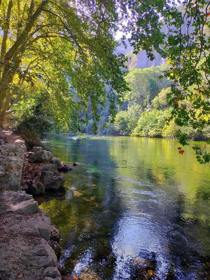 Lou Meinado Saint-Martin-de-Crau Εξωτερικό φωτογραφία