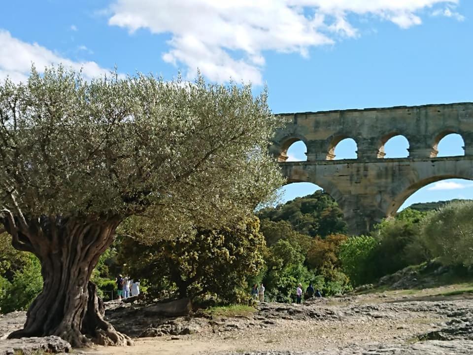Lou Meinado Saint-Martin-de-Crau Εξωτερικό φωτογραφία